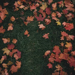 Girl In Red October Passed Me By